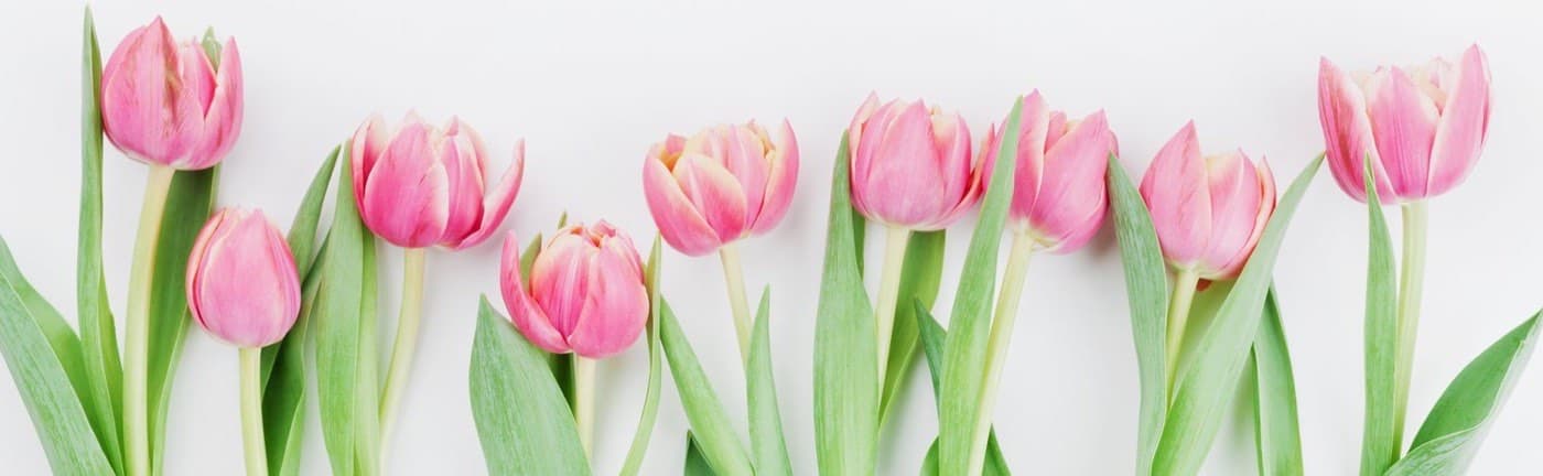 A vase of tulips, part of a table setting